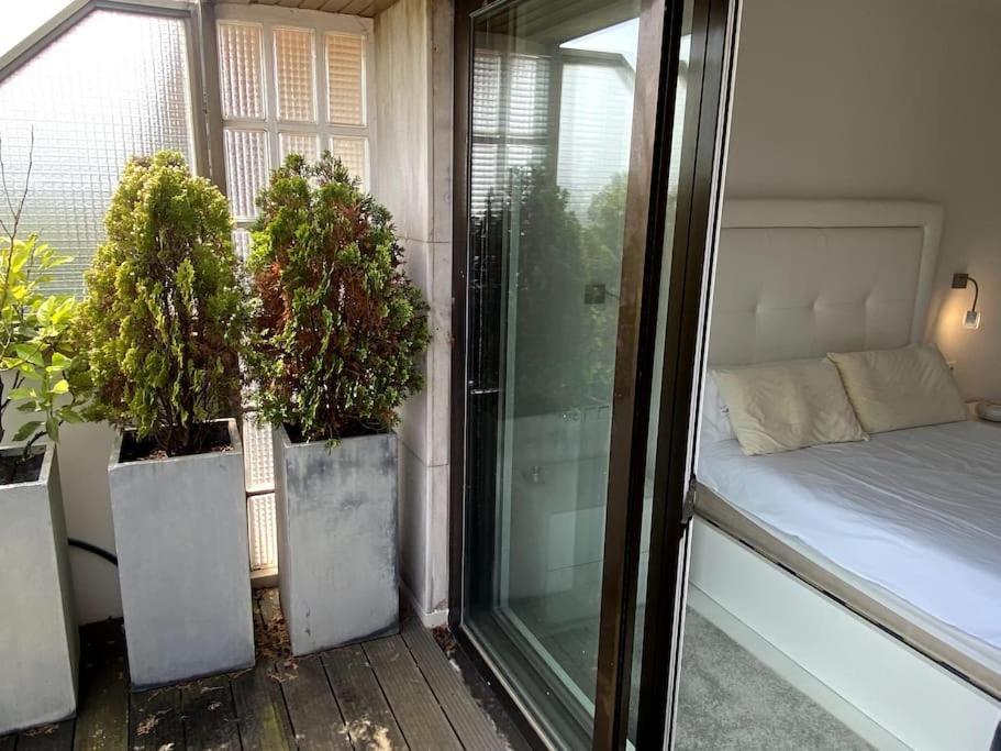Avenida Vt - Vivienda Turistica Apartment San Sebastian Exterior photo